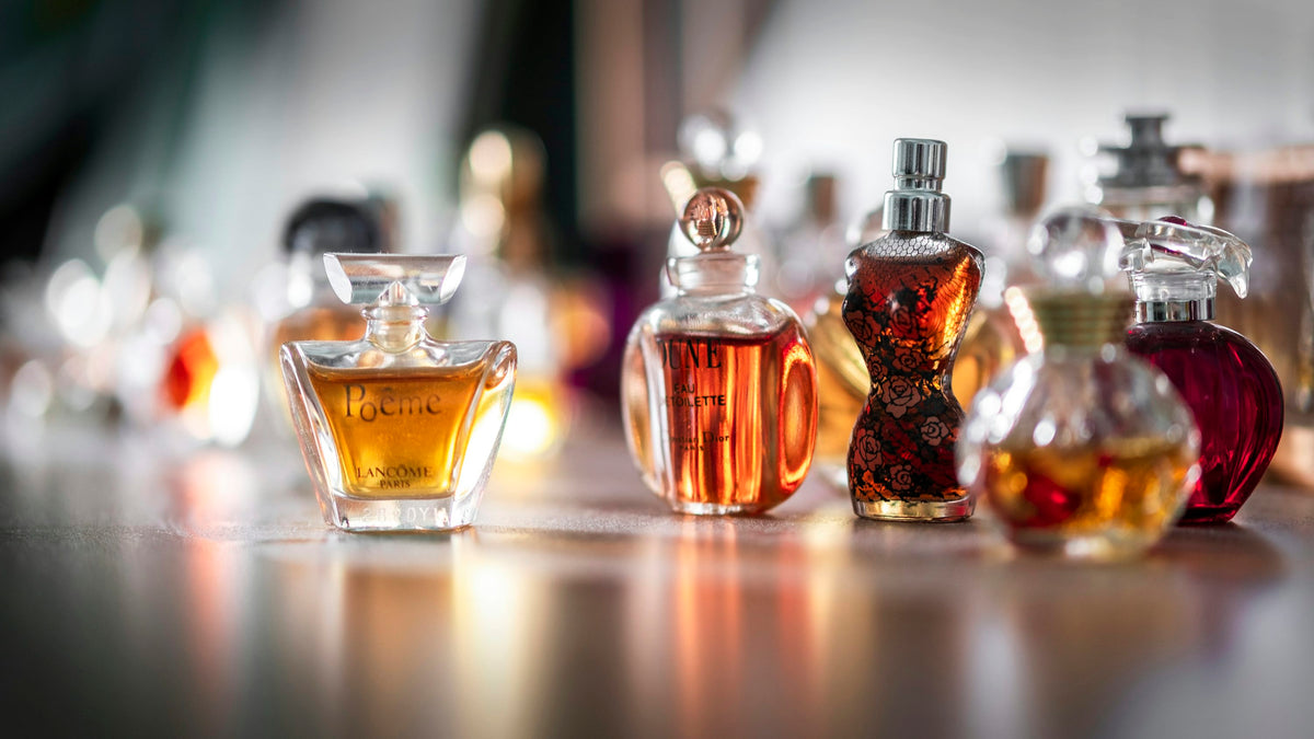 Best perfume 2025